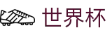 美加墨世界杯 · 2026足球赛买球精准推介